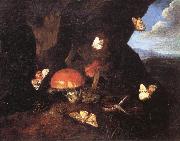 SCHRIECK, Otto Marseus van Still Life with Mushrooms and Butterflies oil painting